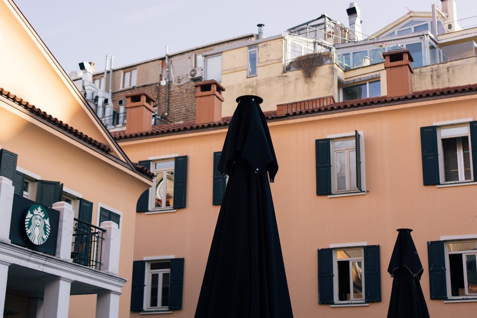 麗珠蘭：一段平凡中的情感故事