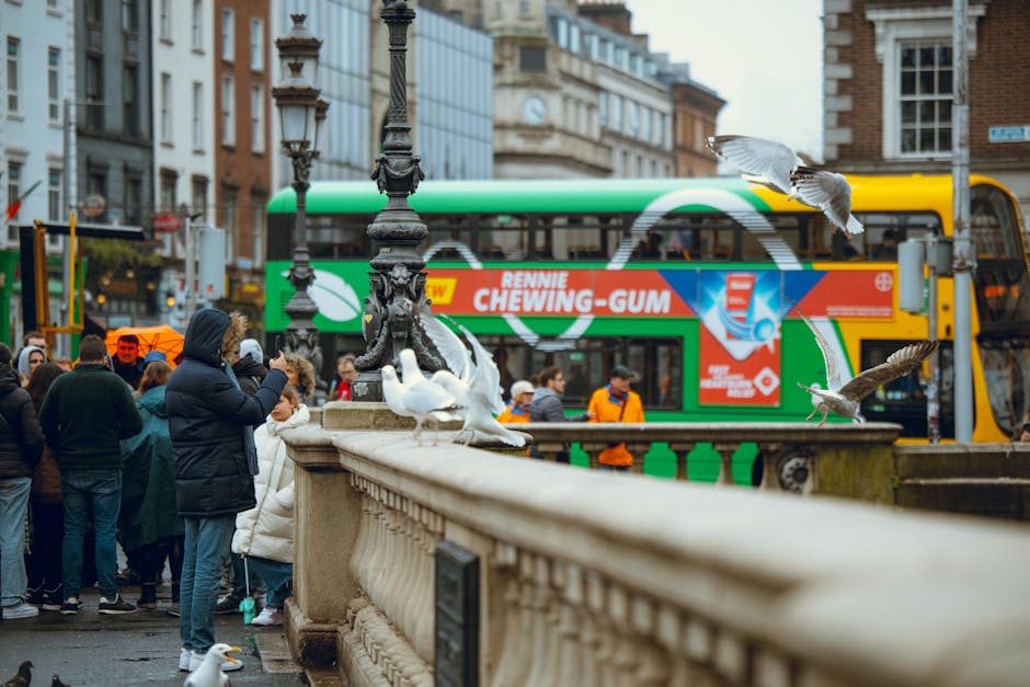 年金制度解析與實務應用